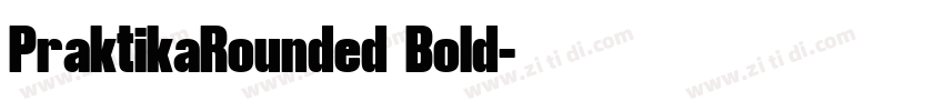 PraktikaRounded Bold字体转换